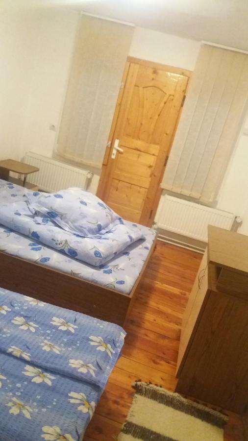 Pensiunea Miesca Matisesti Bagian luar foto