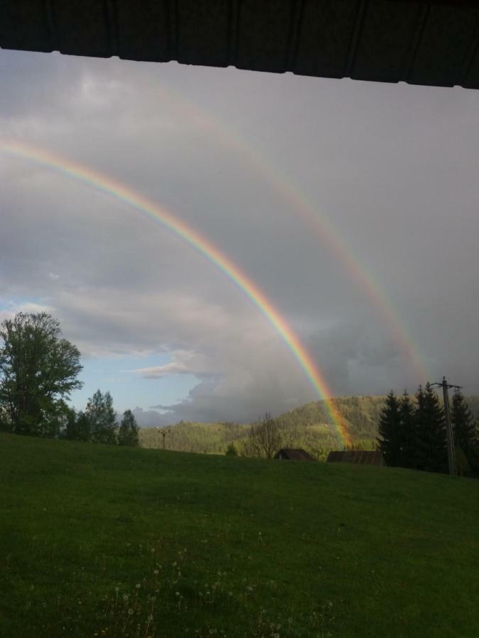 Pensiunea Miesca Matisesti Bagian luar foto