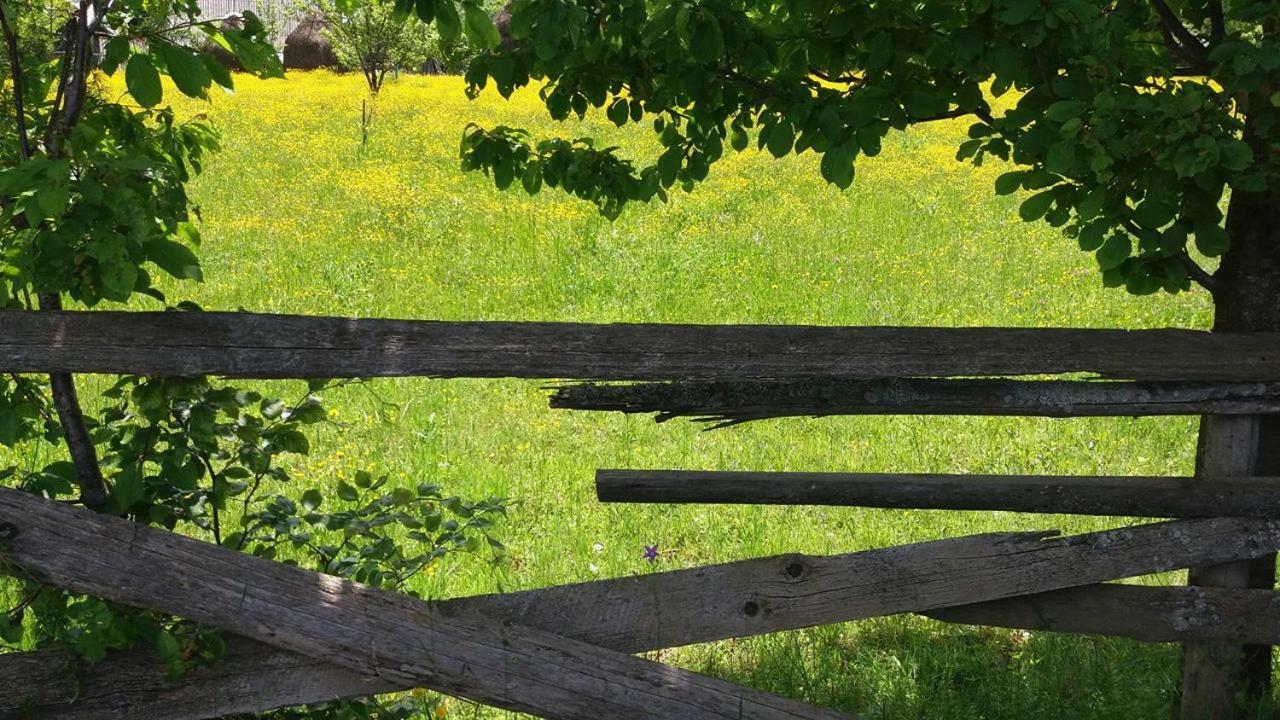 Pensiunea Miesca Matisesti Bagian luar foto